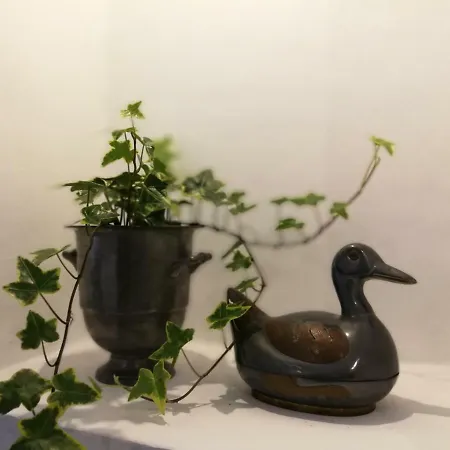 Apartman Gorgeous Bairro Alto